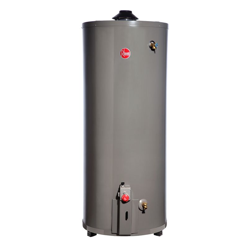 RHEEM - Termo a gas 114 litros Gas licuado Rheem