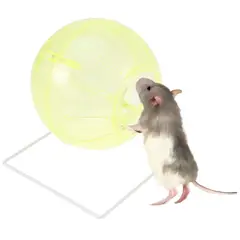 GENERICO - Bola Esfera Hámster 10cm Juguete Roedores Ratón Transparente