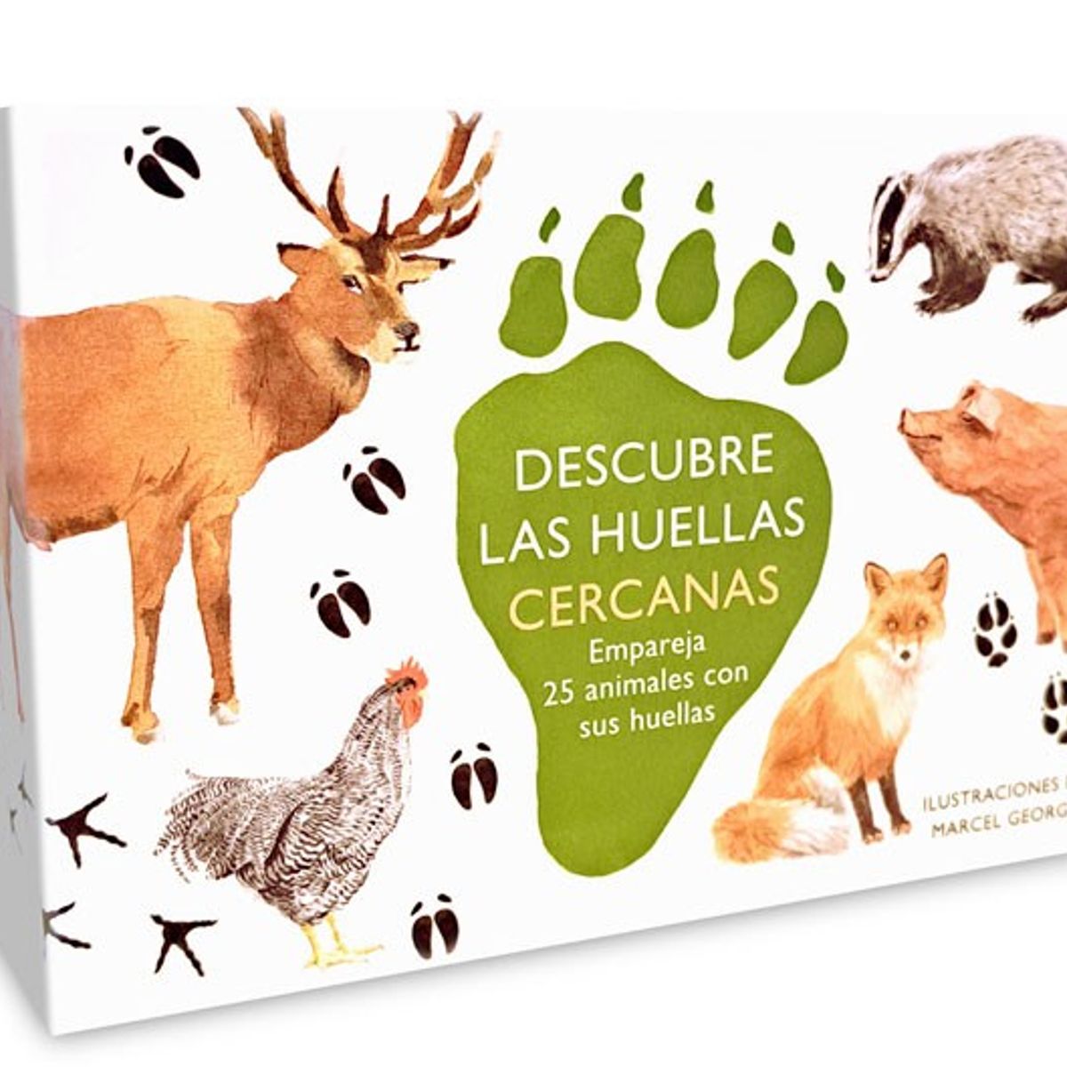 MTM - Juego De Memoria - Descubre Las Huellas Cercanas