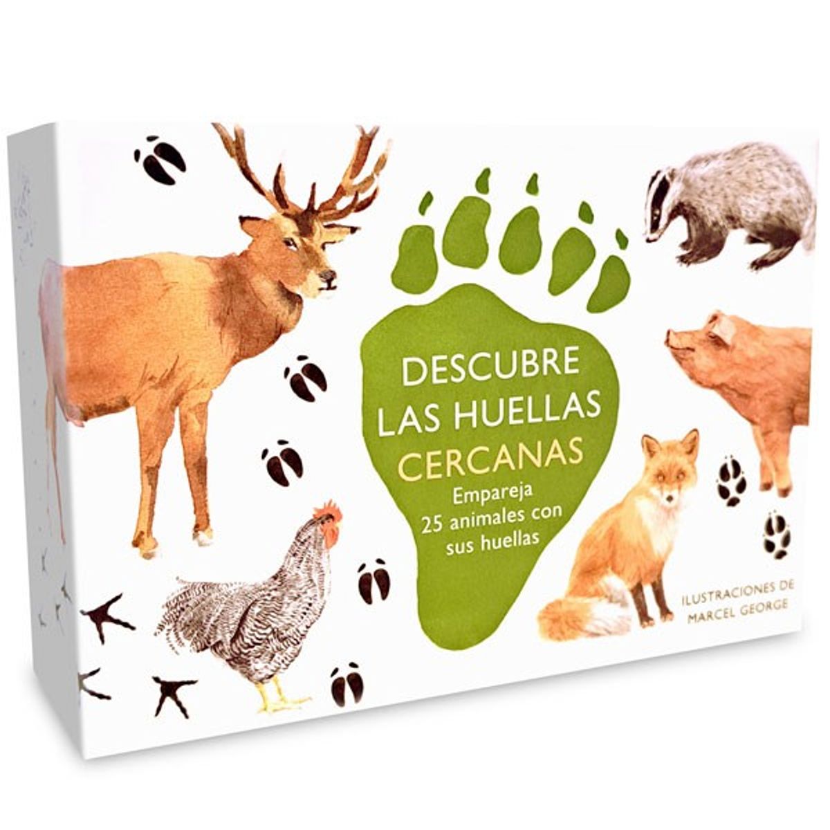 MTM - Juego De Memoria - Descubre Las Huellas Cercanas
