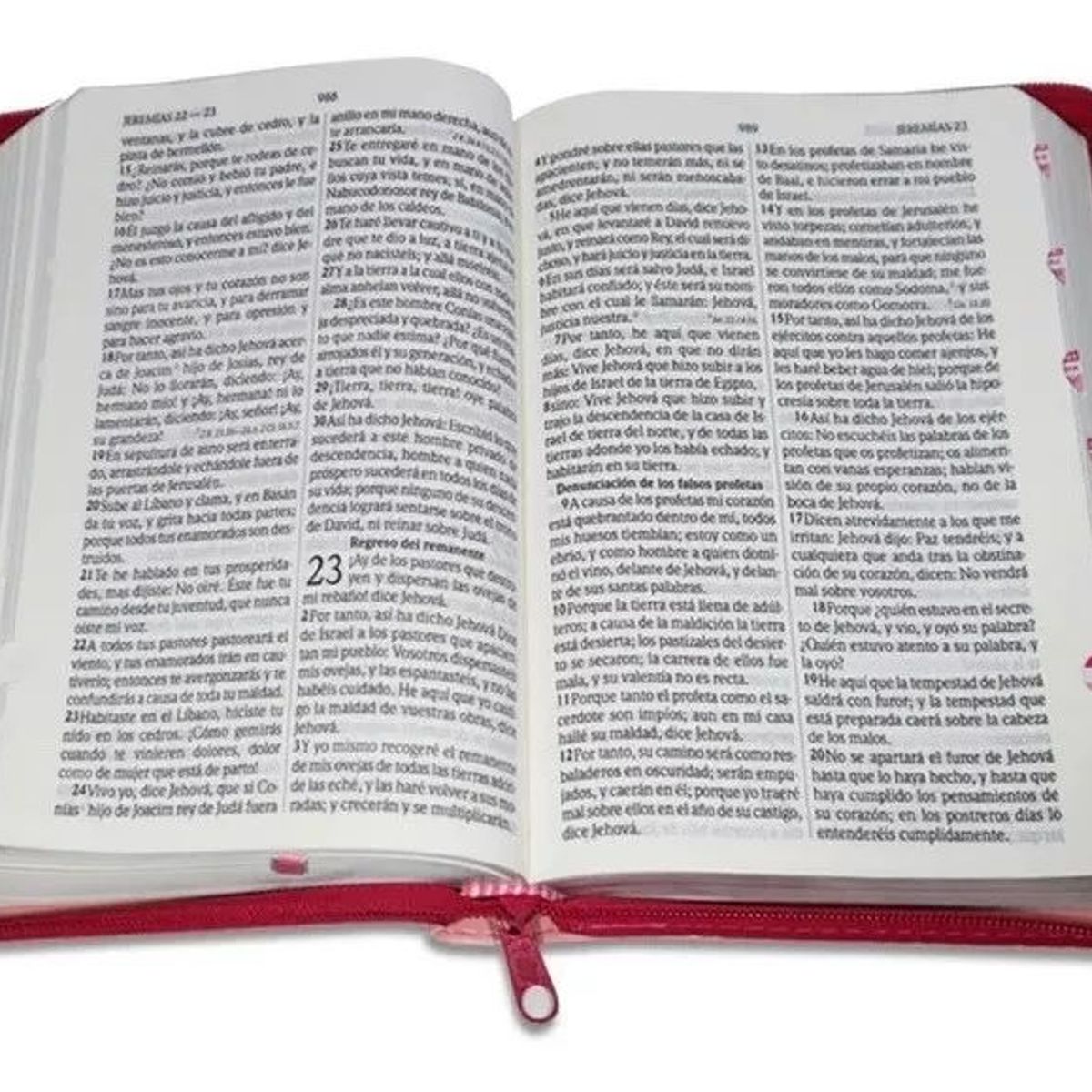 SOCIEDADES BIBLICAS UNIDAS - Biblia RVR60 Letra Grande mujer cierre índice