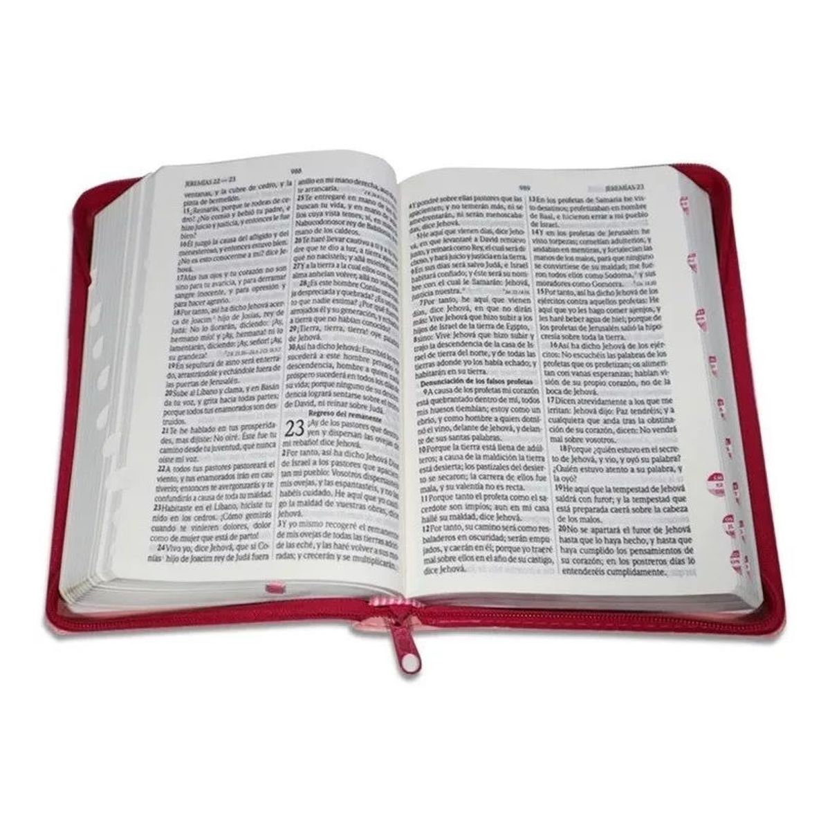 SOCIEDADES BIBLICAS UNIDAS - Biblia RVR60 Letra Grande mujer cierre índice