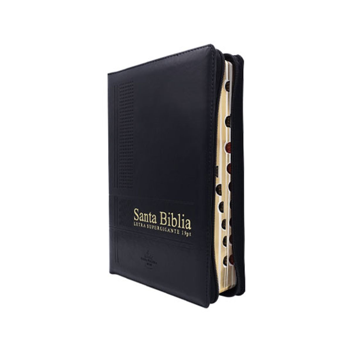 SOCIEDAD BIBLICA CHILENA - Biblia Reina Valera 1960 Letra Super Gigante