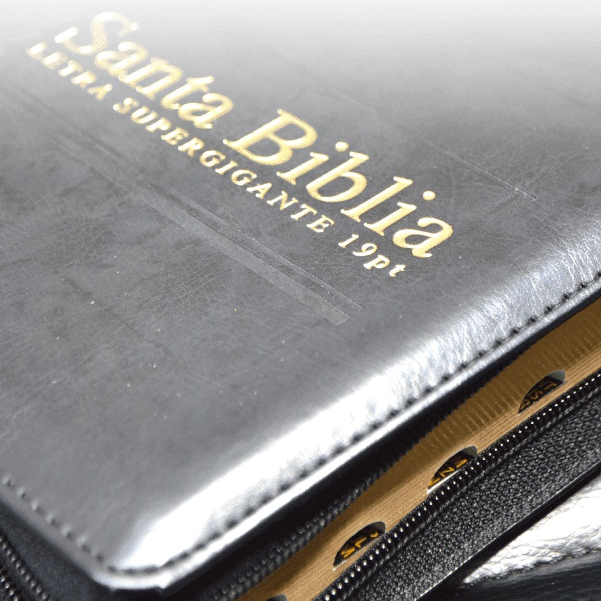 SOCIEDAD BIBLICA CHILENA - Biblia Reina Valera 1960 Letra Super Gigante
