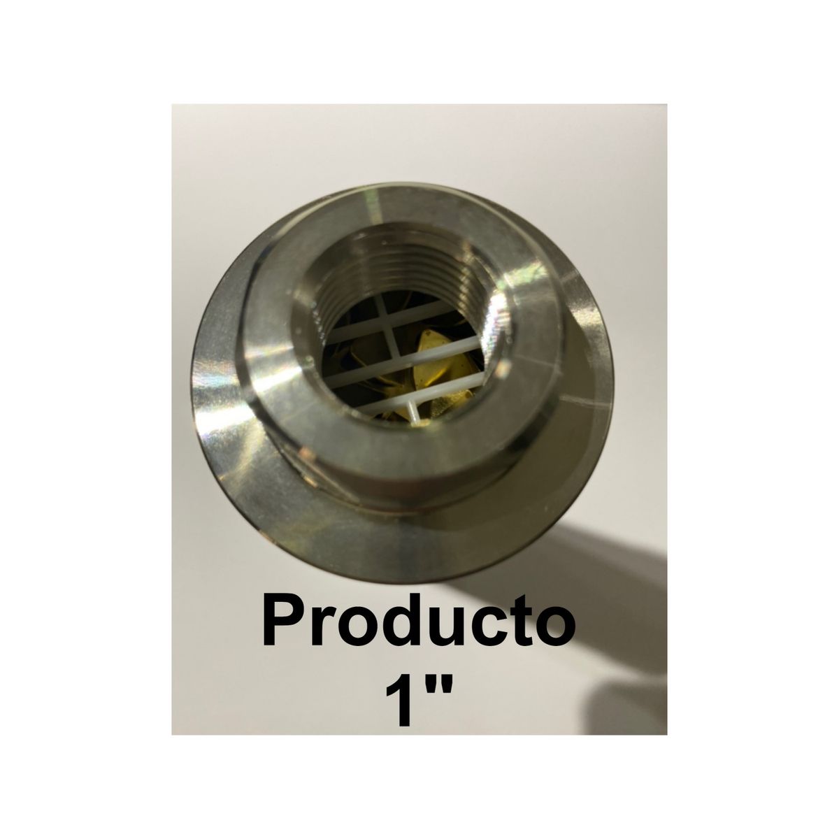 IPS - DESINCRUSTADOR DE SARRO - AntiSarro  Acondicionador de agua KALYXX