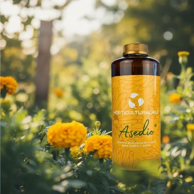 Imagen 2 del producto Jabón Potásico Con Aceite De Neem 1 litro Insecticida Ecológico y concentrado - Asedio ®