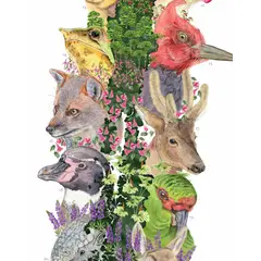 MAPPIN - Mapa de Animales que Habitan Chile - Lámina
