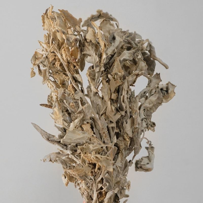 AMOBLE - Flor Seca Brisa Amoblé