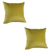 Set 2 cojines felpa pistacho 40x40