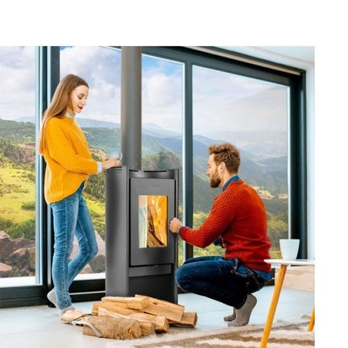 AMESTI - Calefactor a leña Amesti Rondo 450 design