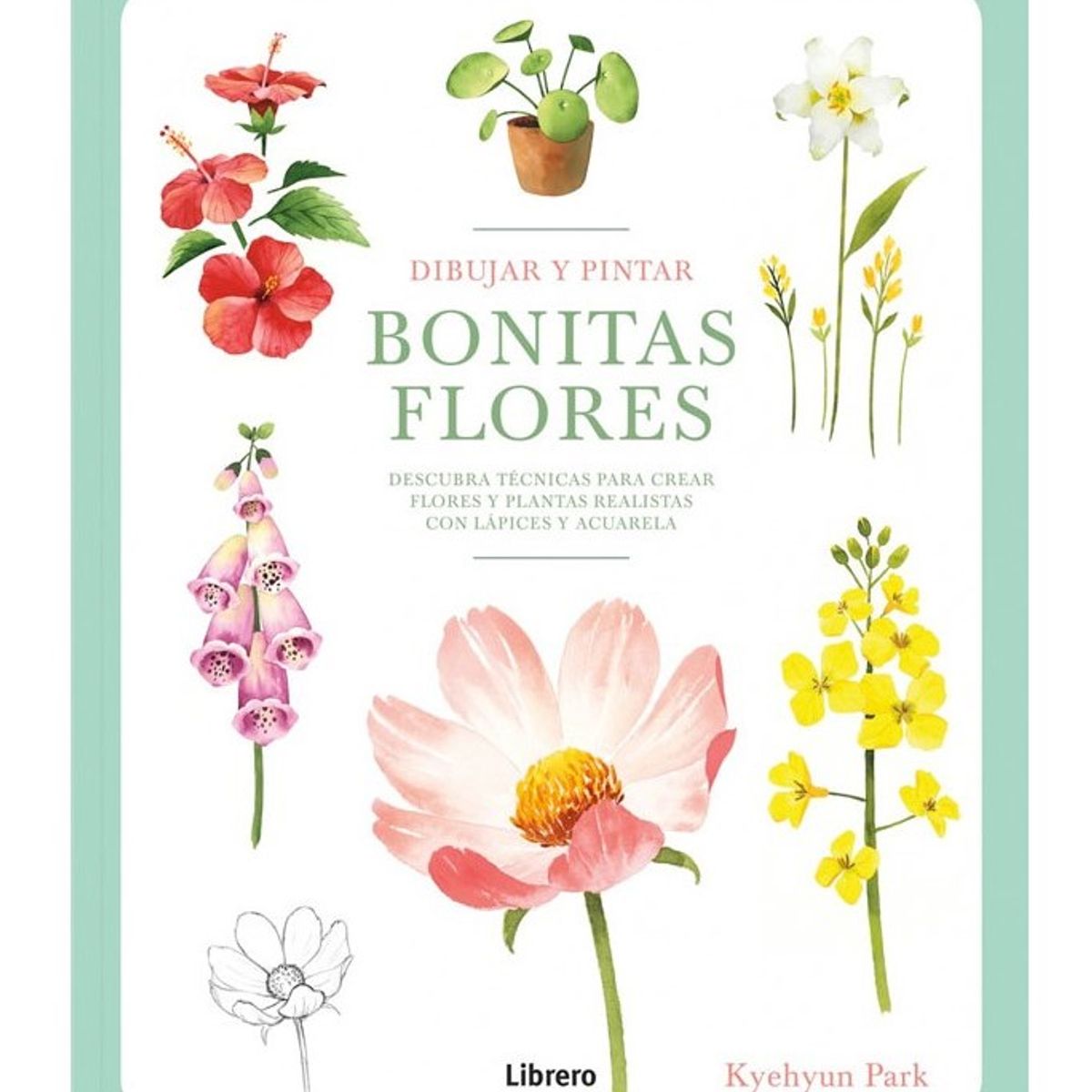 EDITORIAL CONTRAPUNTO - Dibujar Y Pintar Bonitas Flores