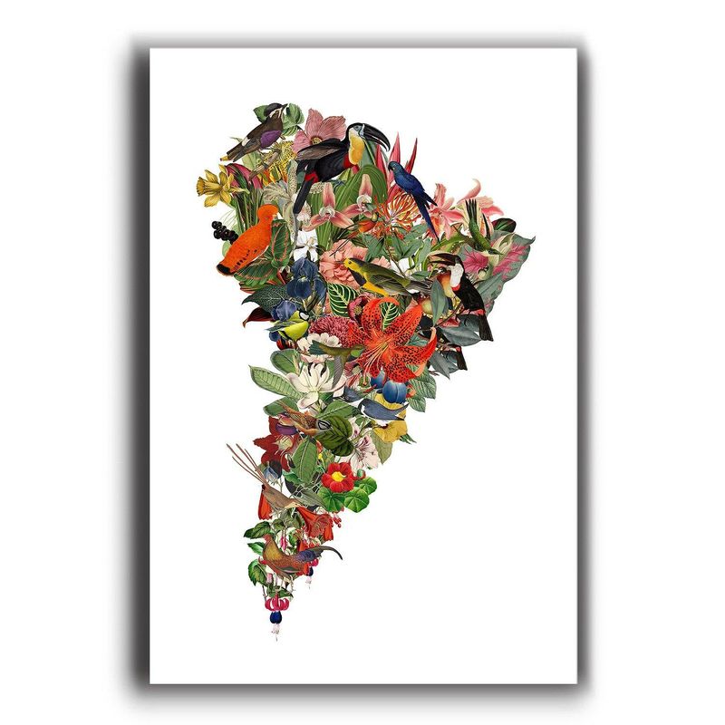 MAPPIN - Flor de Sudamérica Blanco - Lámina