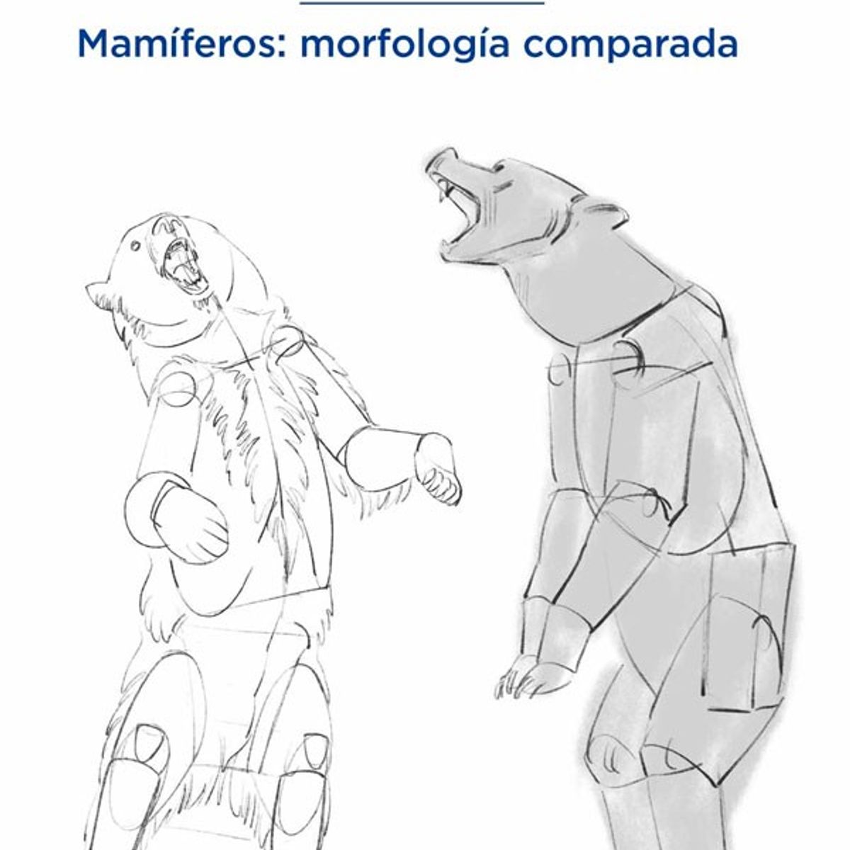GUSTAVO GILI - Anatomía Artística 9. Mamíferos: Morfología Comparada
