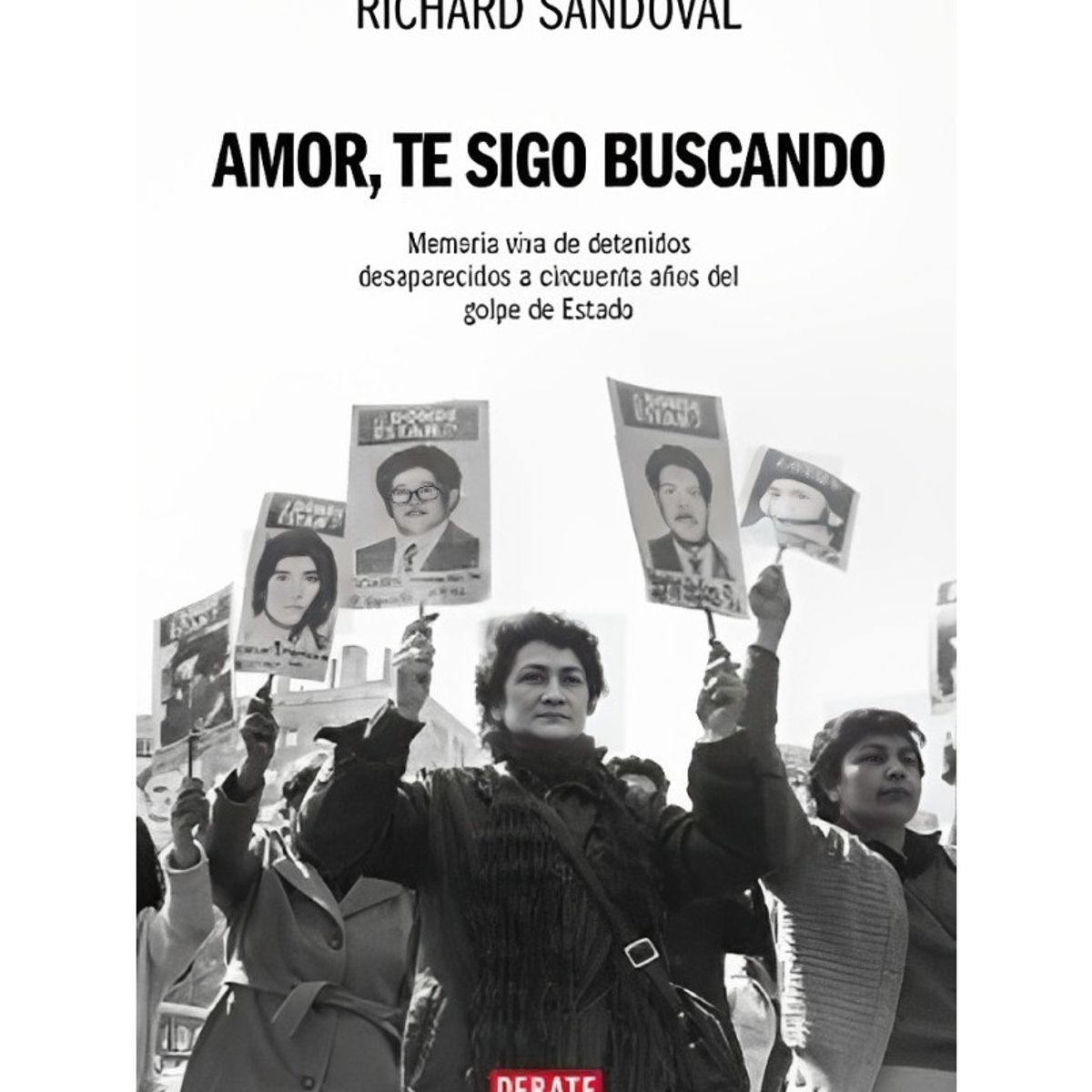 TOP10BOOKS - LIBRO Te Sigo Buscando Amor - Te Sigo Buscando Amor