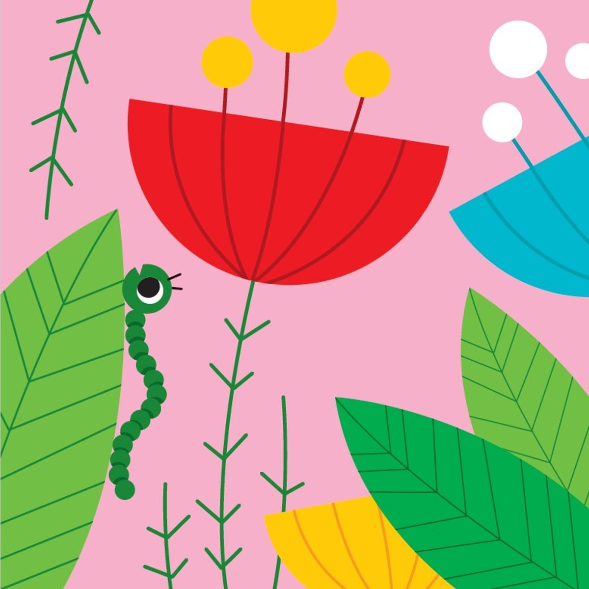 EDITORIAL CONTRAPUNTO - ¡Tachan! Los Insectos