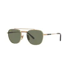 RAY BAN - Lentes de sol Ray-Ban Frank Ii Titanium RB8258 313852 51