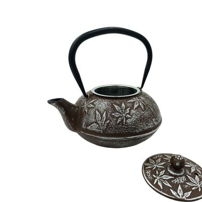 Imagen 2 del producto Tetera de fierro fundido con filtro