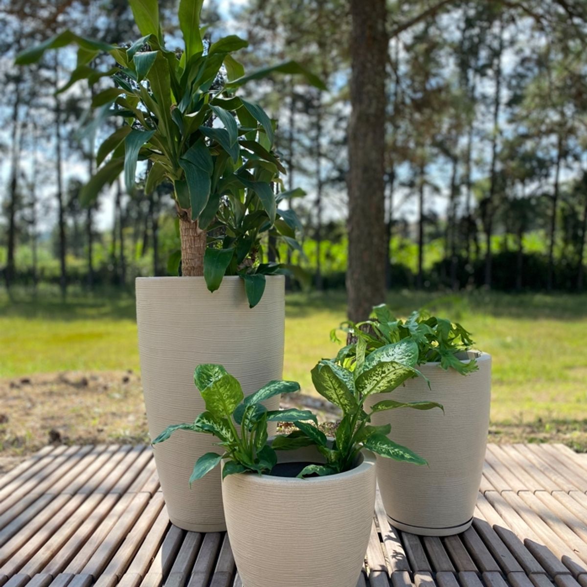 FLORIDIS - MACETERO FLORIDIS BEIGE AMSTERDAM 28CM ALTO CON PLATO