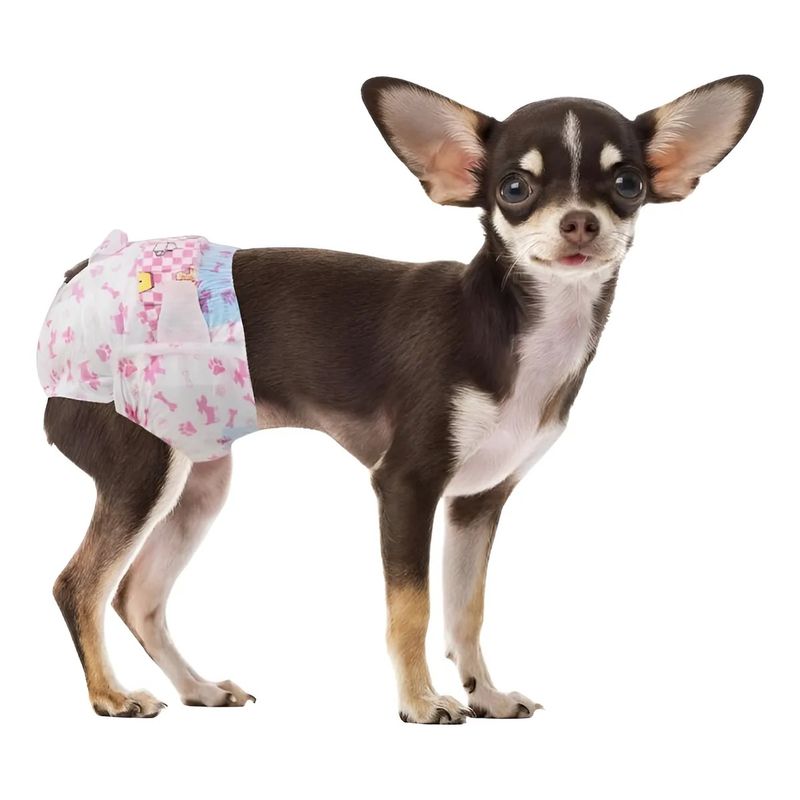 GENERICO - X10 Pañales Para Perros Pañales Para Perro Pañales Gato M