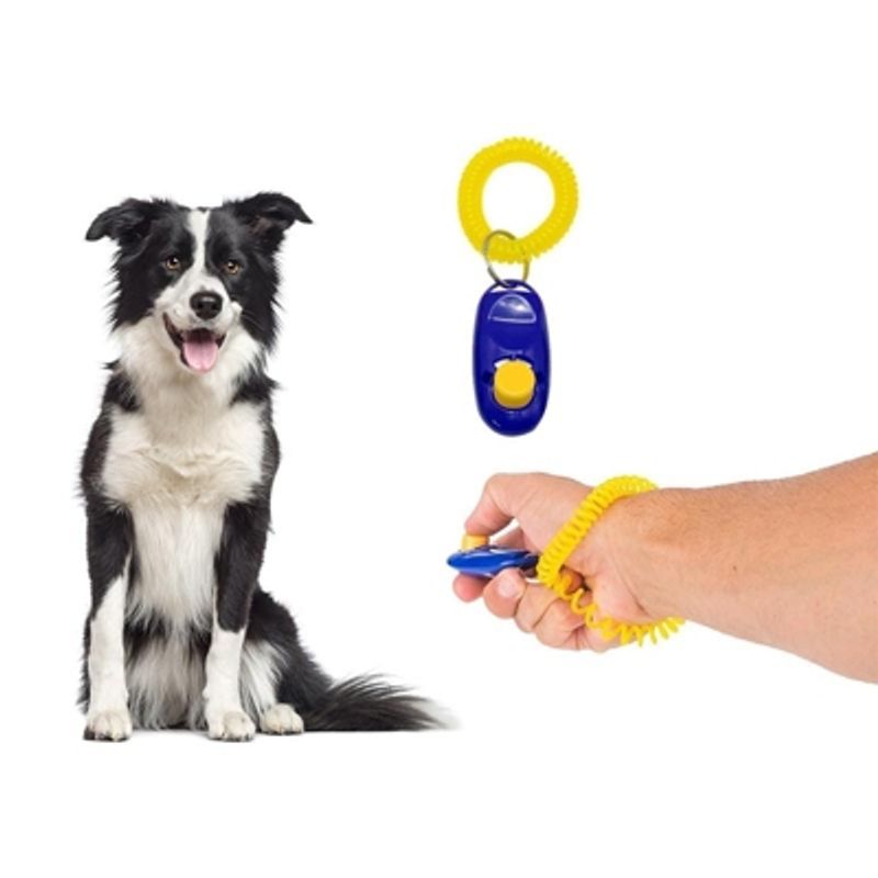 GENERICO - Clicker De Adiestramiento Perro Clicker Entrenamiento Perro