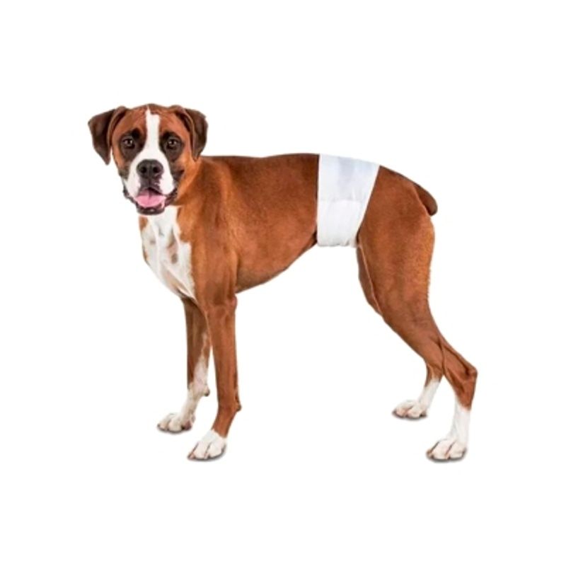 GENERICO - 12 Pañales Para Perros Pañales Para Perro Pañales Gato L