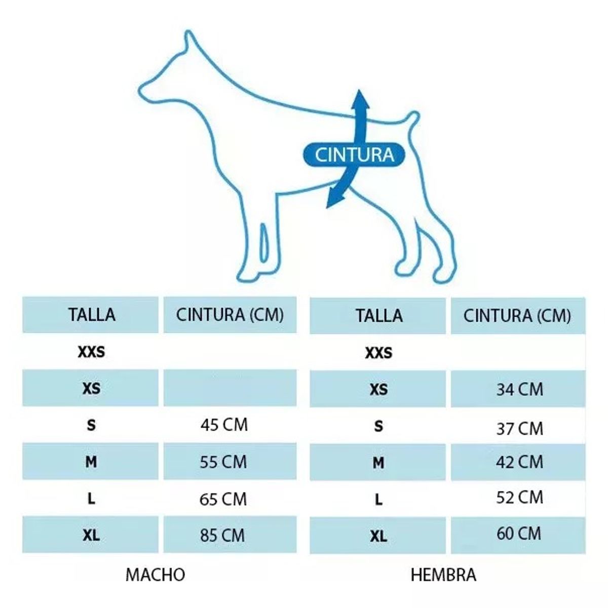 GENERICO - 12 Pañales Para Perros Pañales Para Perro Pañales Gato L