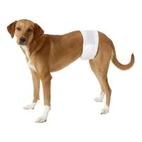 12 Pañales Para Perros Pañales Para Perro Pañales Gato S