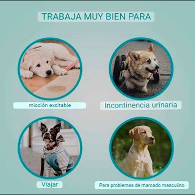Imagen 2 del producto 12 Pañales Para Perros Pañales Para Perro Pañales Gato S