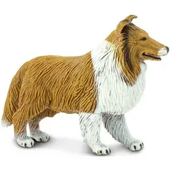 SAFARI - 239329 COLLIE