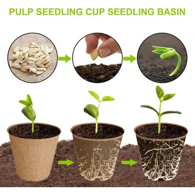 Imagen 2 del producto 50 Maceteros Biodegradables Fibra Para Plantas