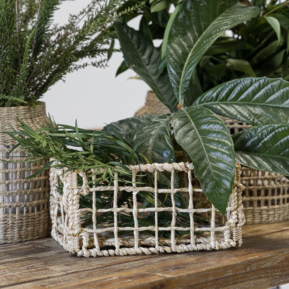 AMOBLE - Canasto Guadalupe Rectangular S Amoblé