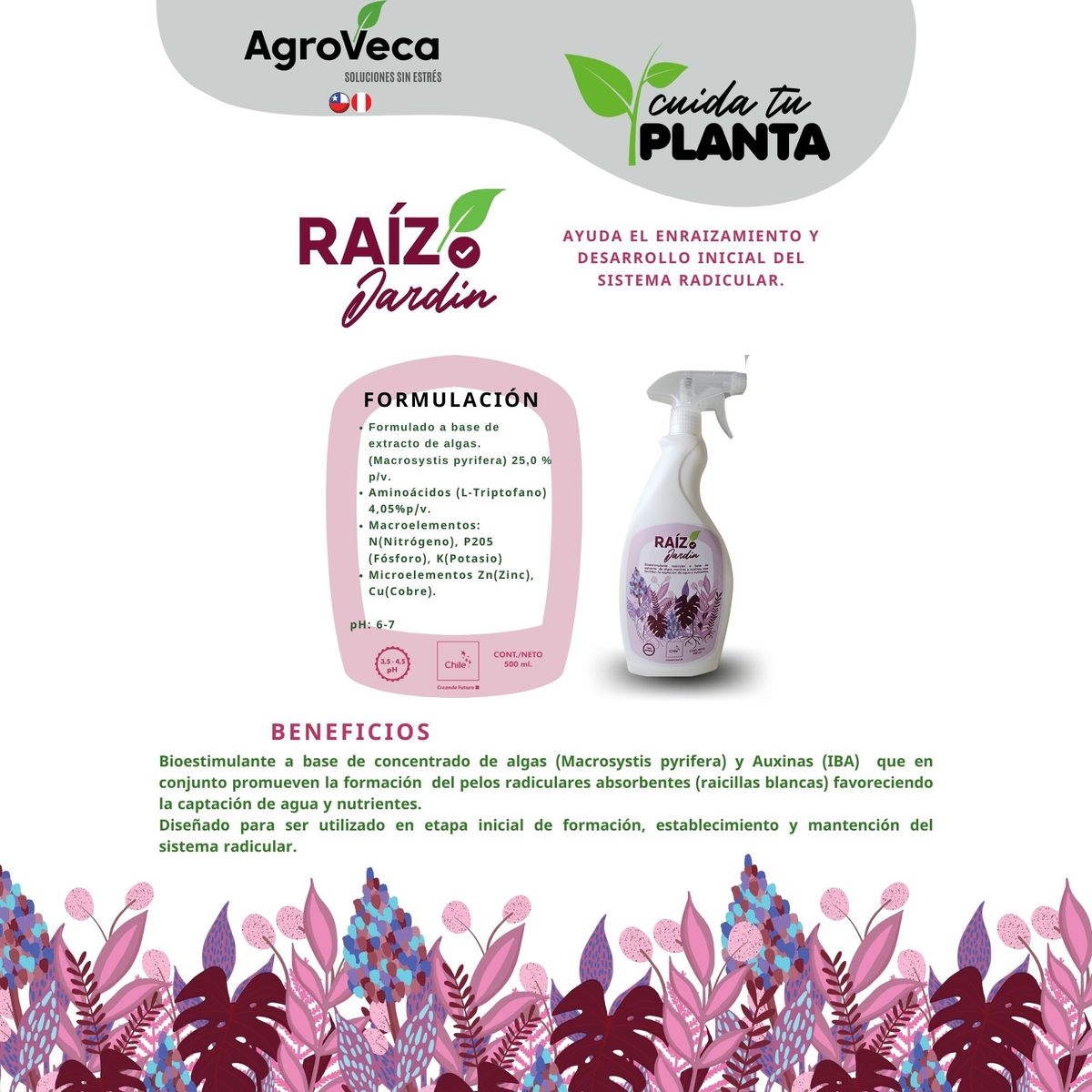 GENERICO - JARDÍN Raíz de Cuida Tu Planta