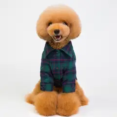 IDS - Camiseta Para Perro Verano Verde Talla L