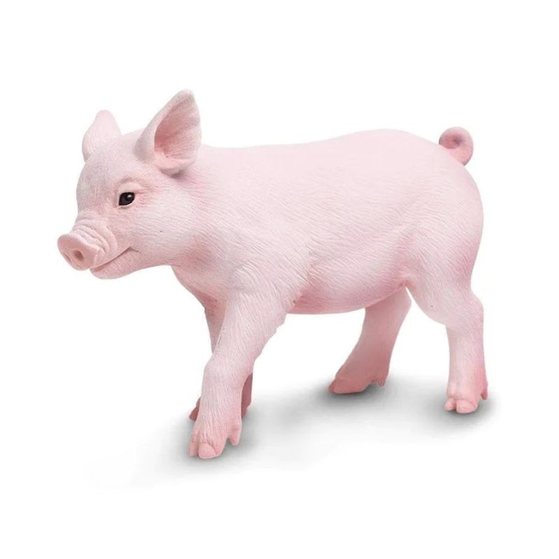 SAFARI - SAFARI 265429 CERDITO