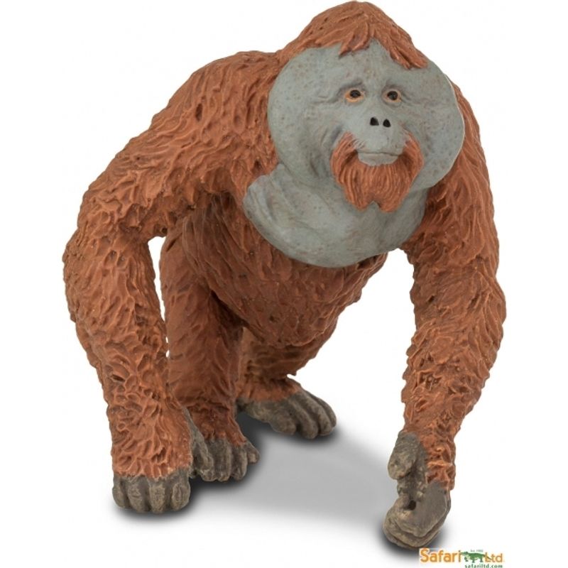 SAFARI - SAFARI 292929 ORANGUTAN MACHO