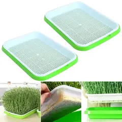 GENERICO - 2 Bandeja Microgreens Germinador Almaciguera De Semilla / Verde