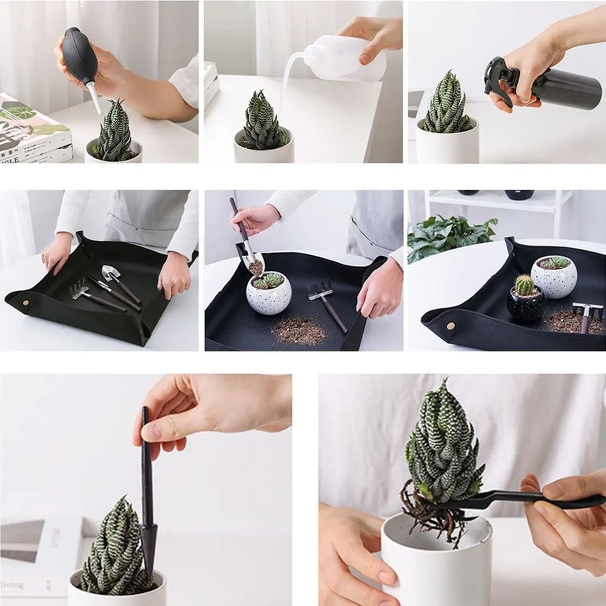 GENERICO - 16 Herramienta Sembrar Planta Terrario Suculenta Cactus