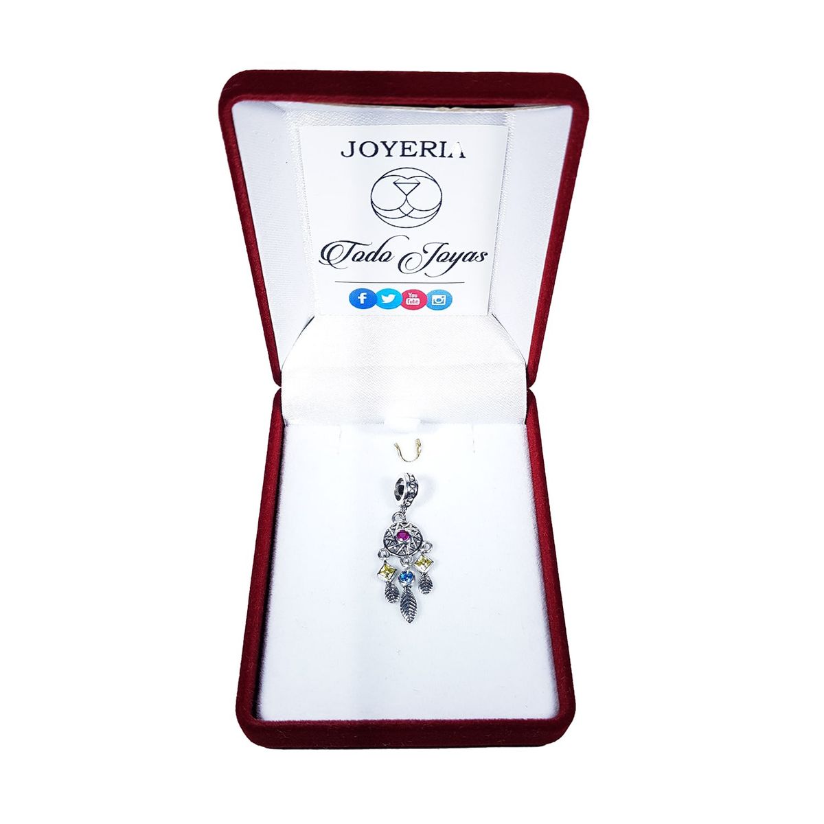 TODOJOYAS - Charm Dije Plata 925 Atrapa Sueños Colores