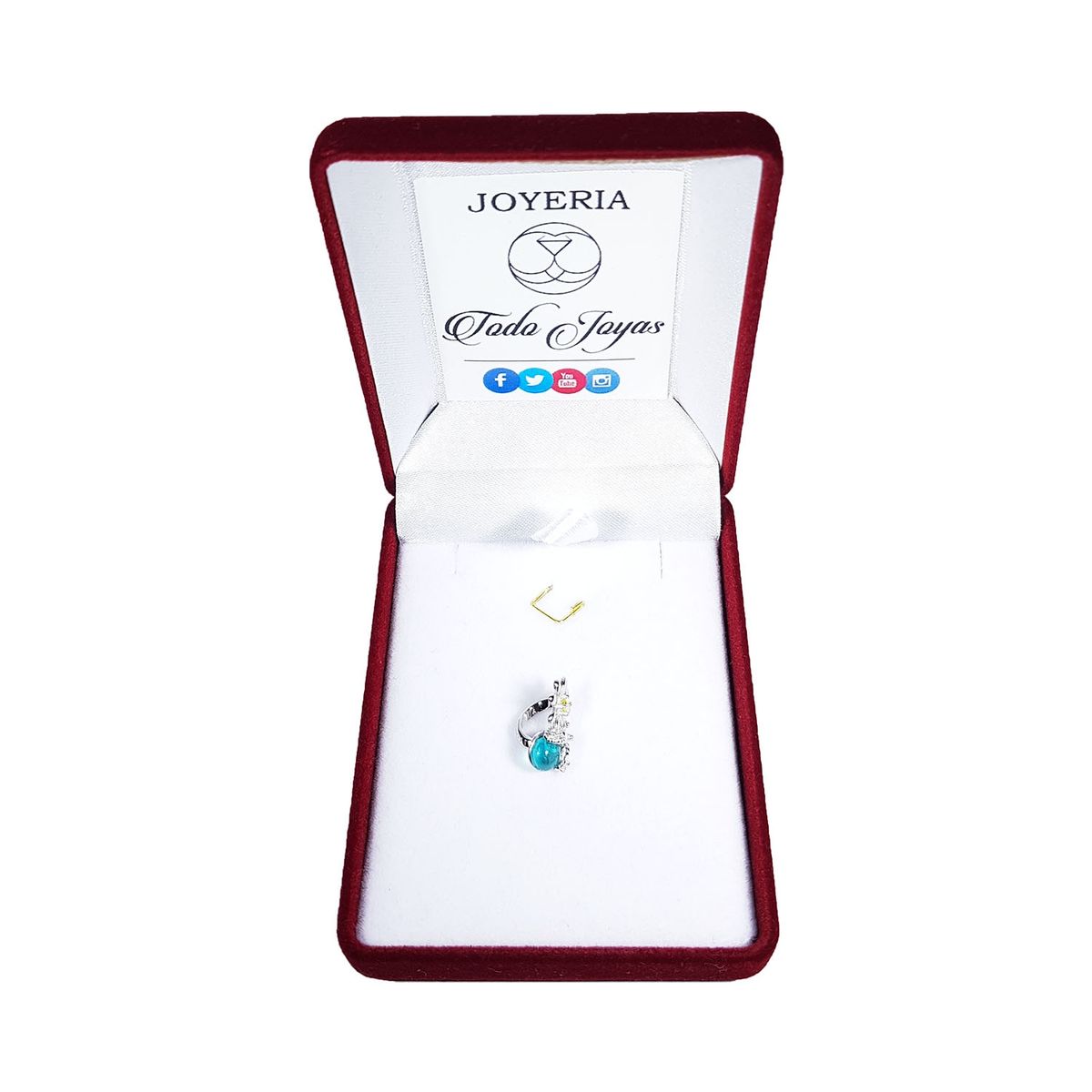 TODOJOYAS - Charm Dije Plata 925 Flor Luciernaga