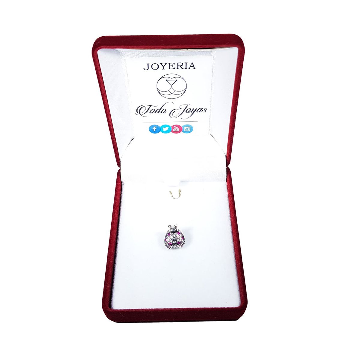 TODOJOYAS - Charm Plata 925 Mariquita Rosada