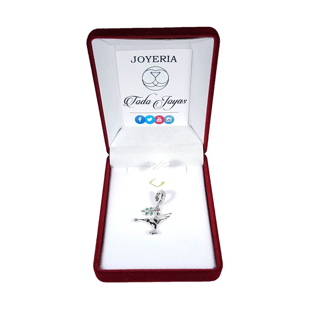 TODOJOYAS - Charm Dije Plata 925 Colibri con Rama