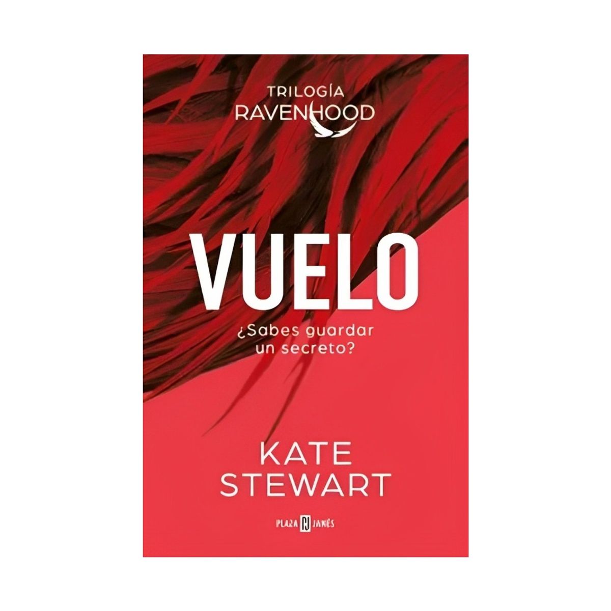 TOP10BOOKS - LIBRO Vuelo (the Ravenhood Trilogy 1) - Vuelo (The Ravenhood Trilogy 1)