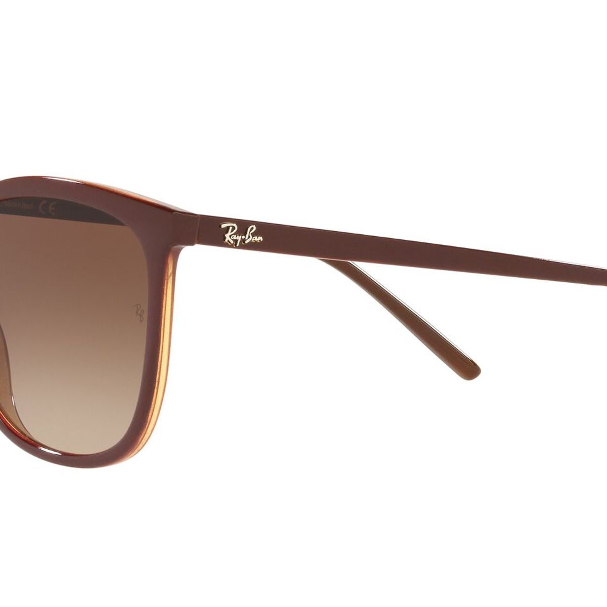 RAY BAN - Lentes de sol Ray-Ban RB4350L