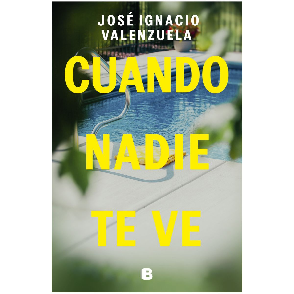 EDICIONES B - Cuando Nadie Te Ve - Autor(a):  José Ignacio Valenzuela