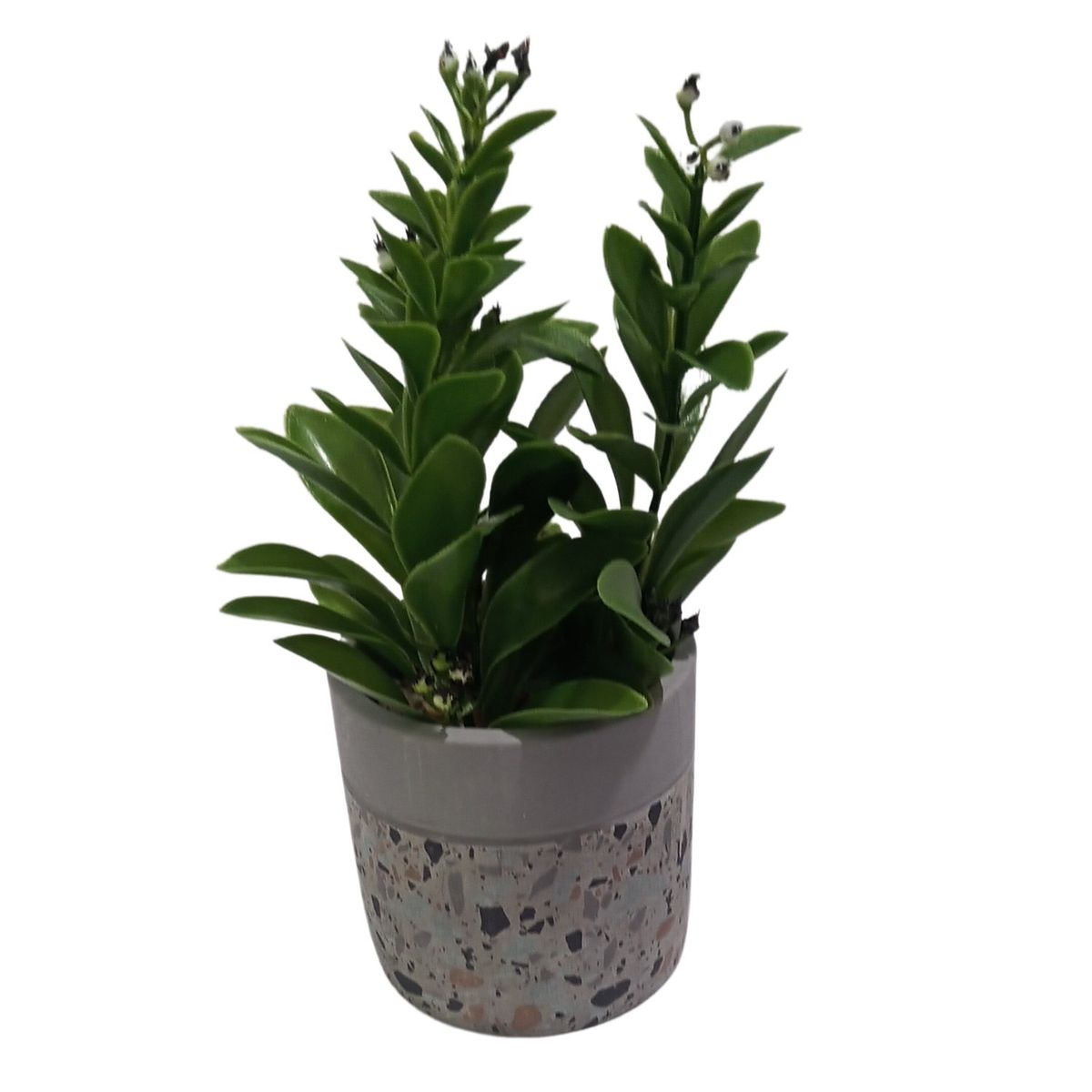 HOME ESSENTIALS - Planta Artificial Maceta Cemento 23 Cm