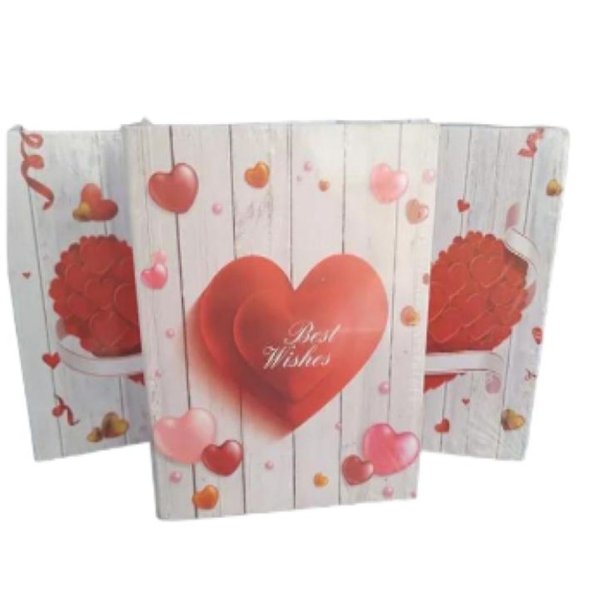 OEM - Album de fotos 10*15cm.  Para 100 fotos.