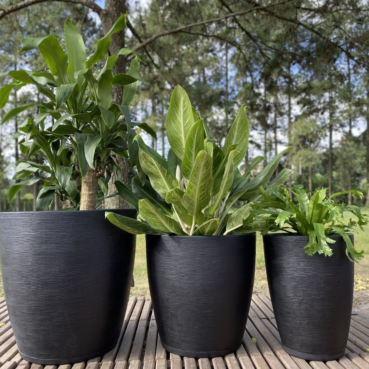 FLORIDIS - MACETERO FLORIDIS NEGRO AMSTERDAM 55CM ALTO CON PLATO