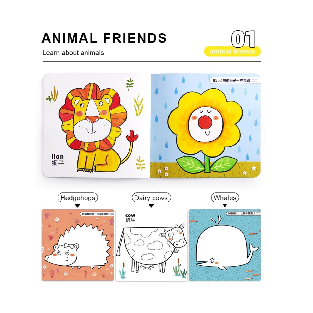 MIDEER - Libros Para Colorear Animales Amigos
