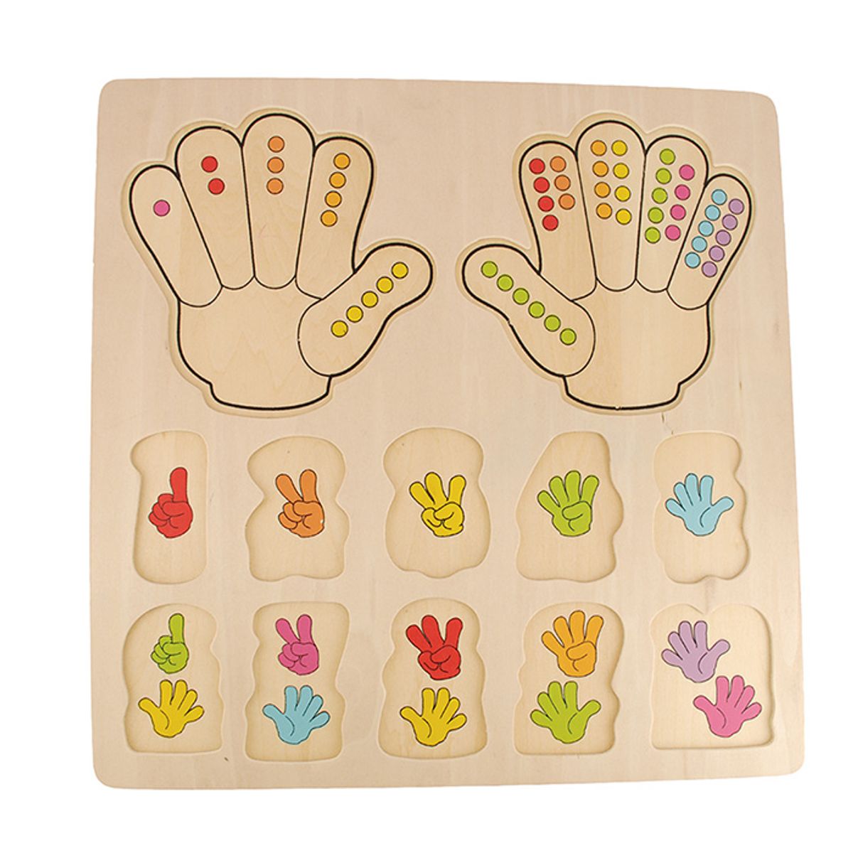 DACTIC - Encaje  de  Número/Cantidad