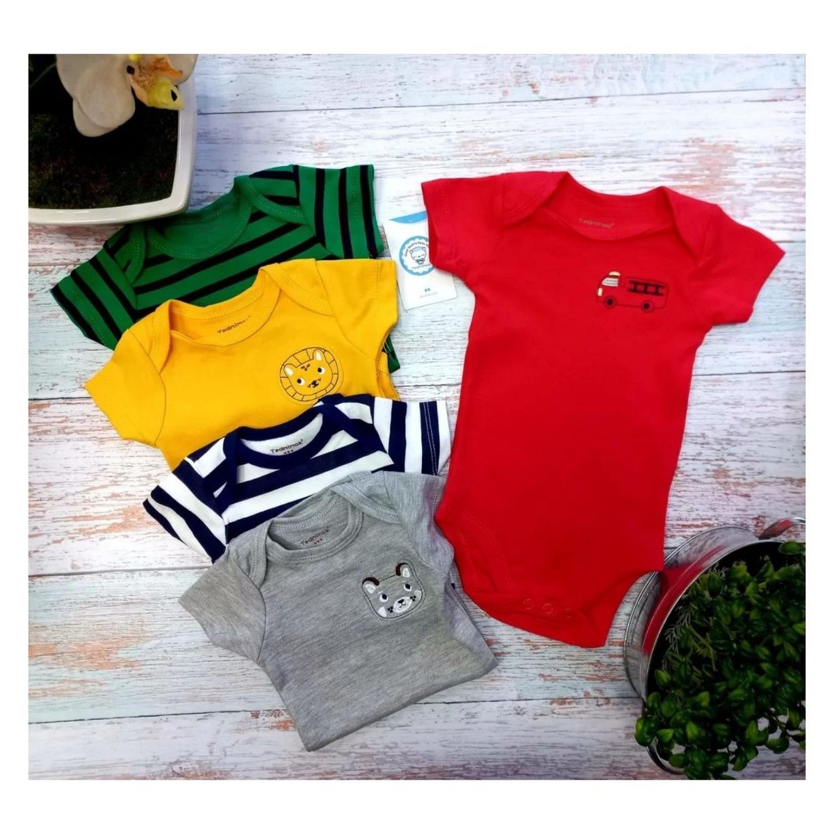 TEDMIMAK - Pack 5 Bodies Manga Corta Liso Tedmimak 100% Algodón Surtido